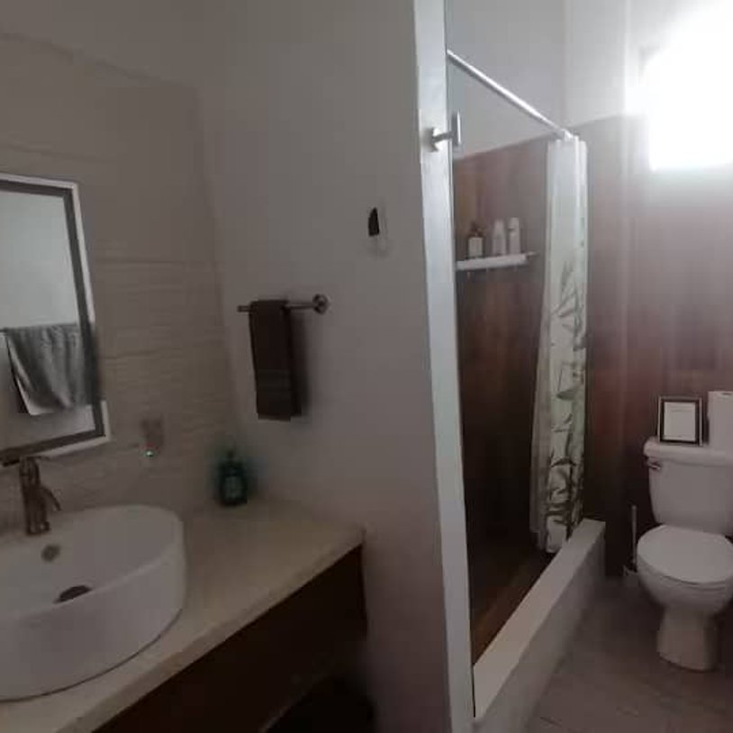 bathroom with a sink, toliet, and shower